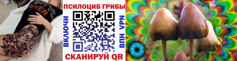 Купить  Кировград  Галлюциногенные грибы MAGIC MUSHROOMS 